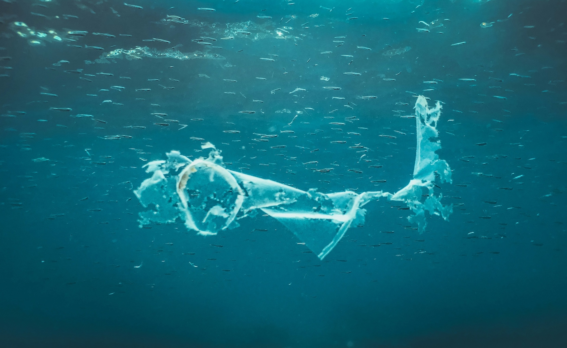 PIÙ SUBDOLE DI BOTTIGLIE E FLACONI: L’INVASIONE DELLE MICROPLASTICHE