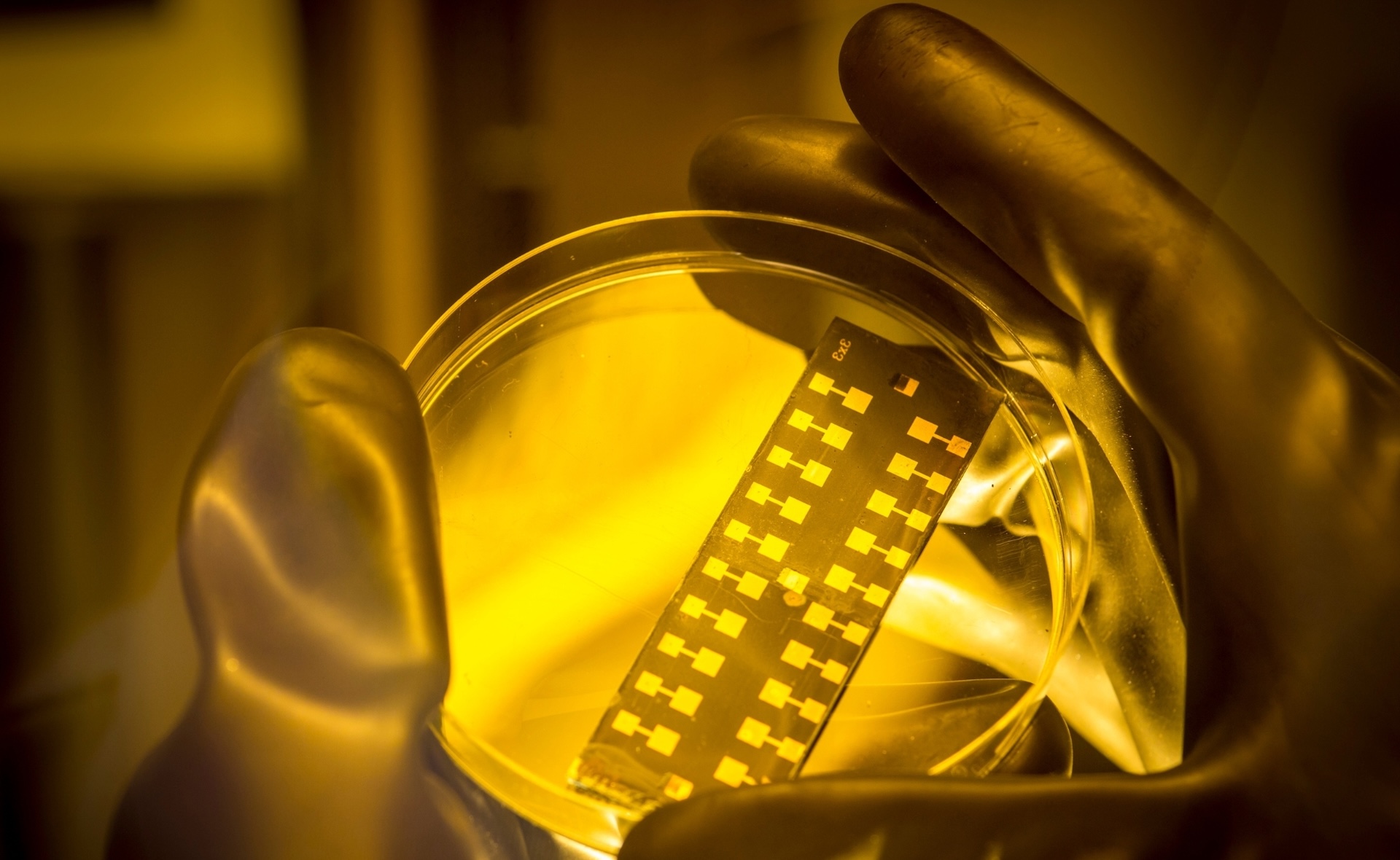 Scienza in Piazza: CHI VUOL ESSERE FOTOVOLTAICO?