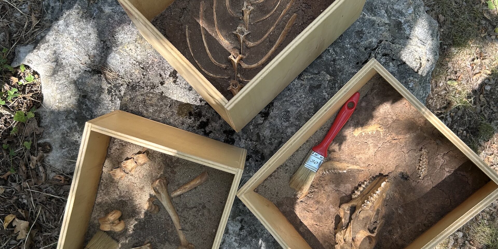 RANDOM LAB: SCOPRI LA SCIENZA CON UN LANCIO DI DATO!