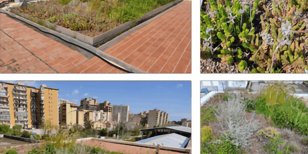 MODELLO DIDATTICO DI TETTO VERDE (GREEN ROOF) CON TECNOLOGIA POLDER