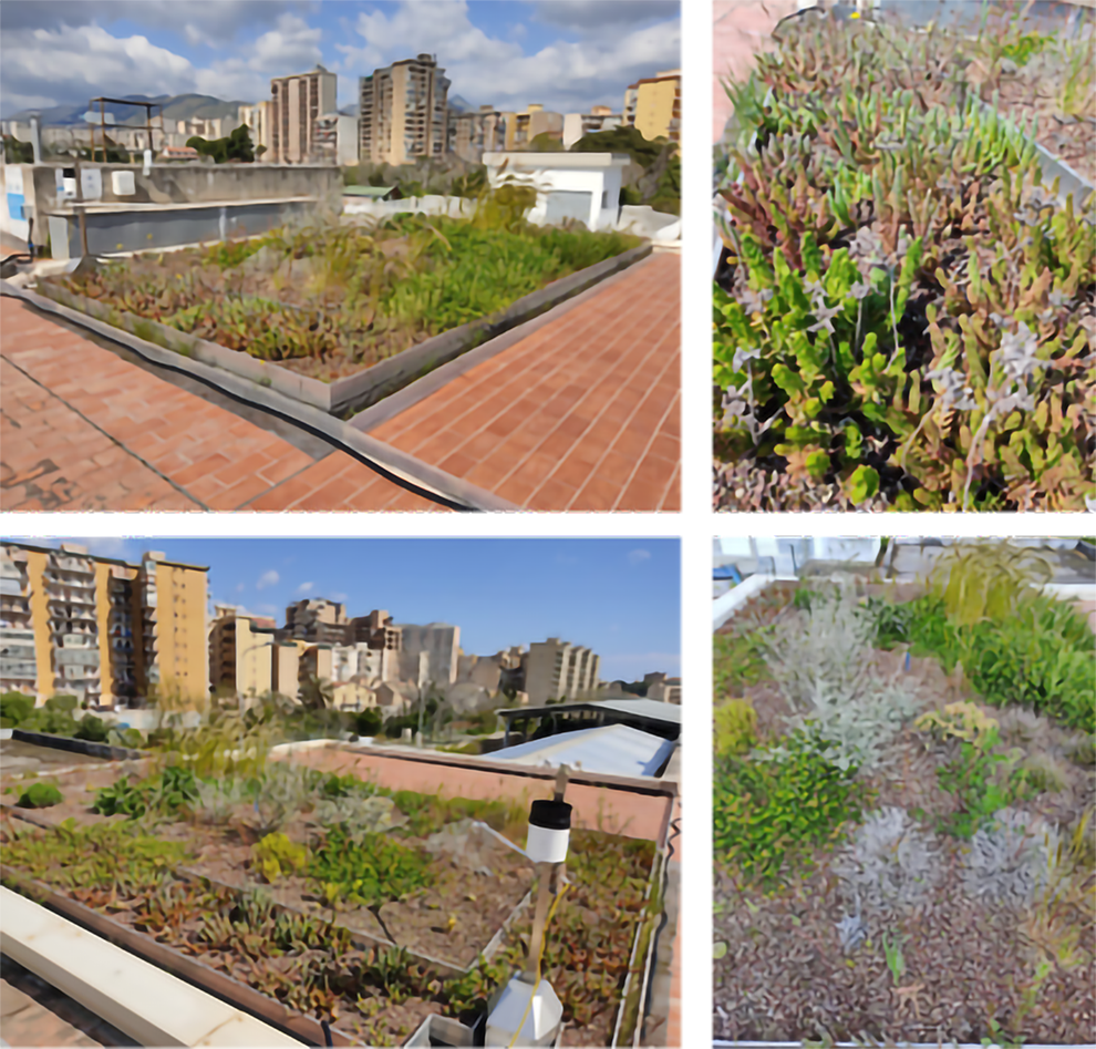 MODELLO DIDATTICO DI TETTO VERDE (GREEN ROOF) CON TECNOLOGIA POLDER