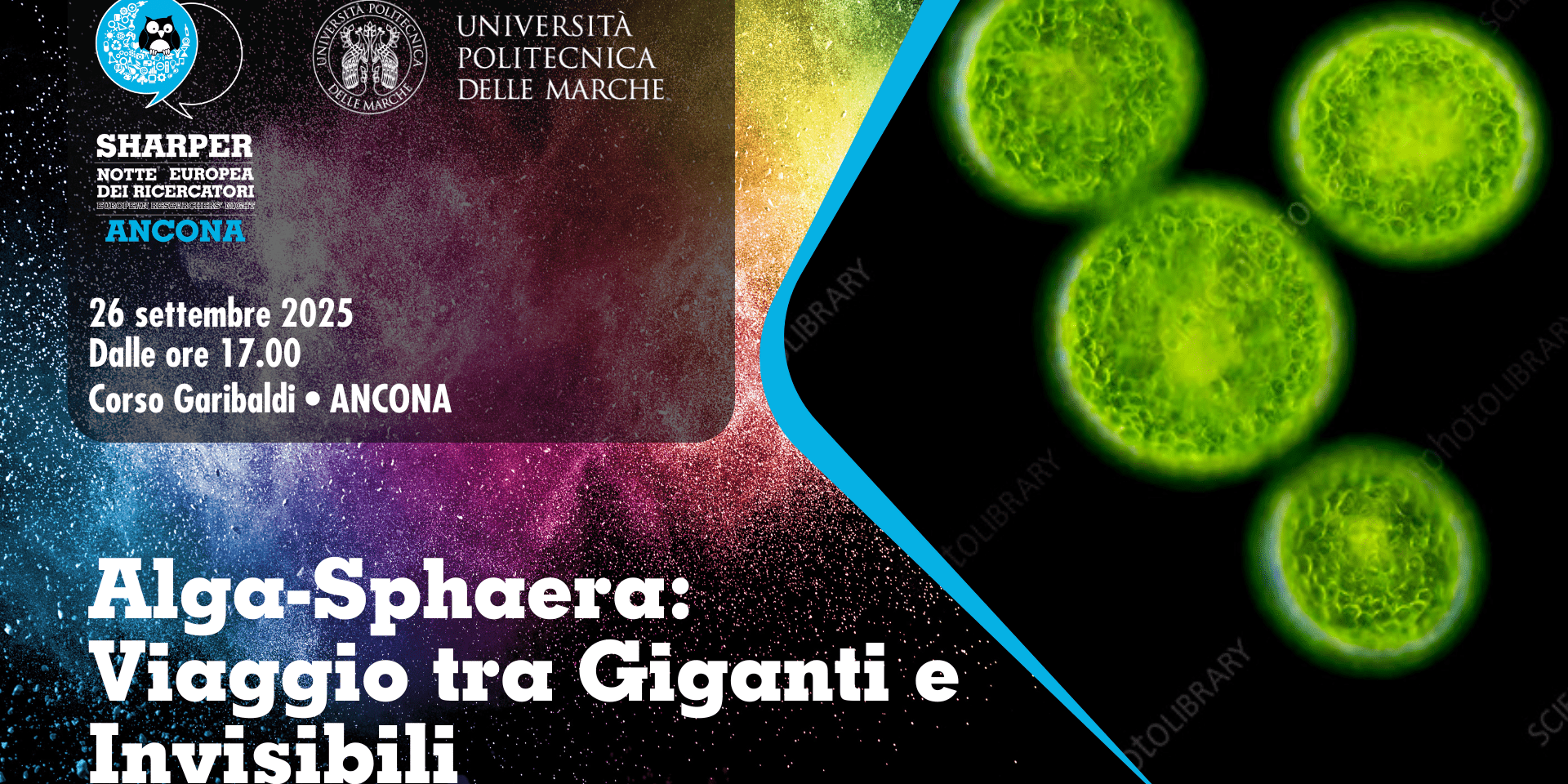 Alga-Sphaera: Viaggio tra Giganti e Invisibili