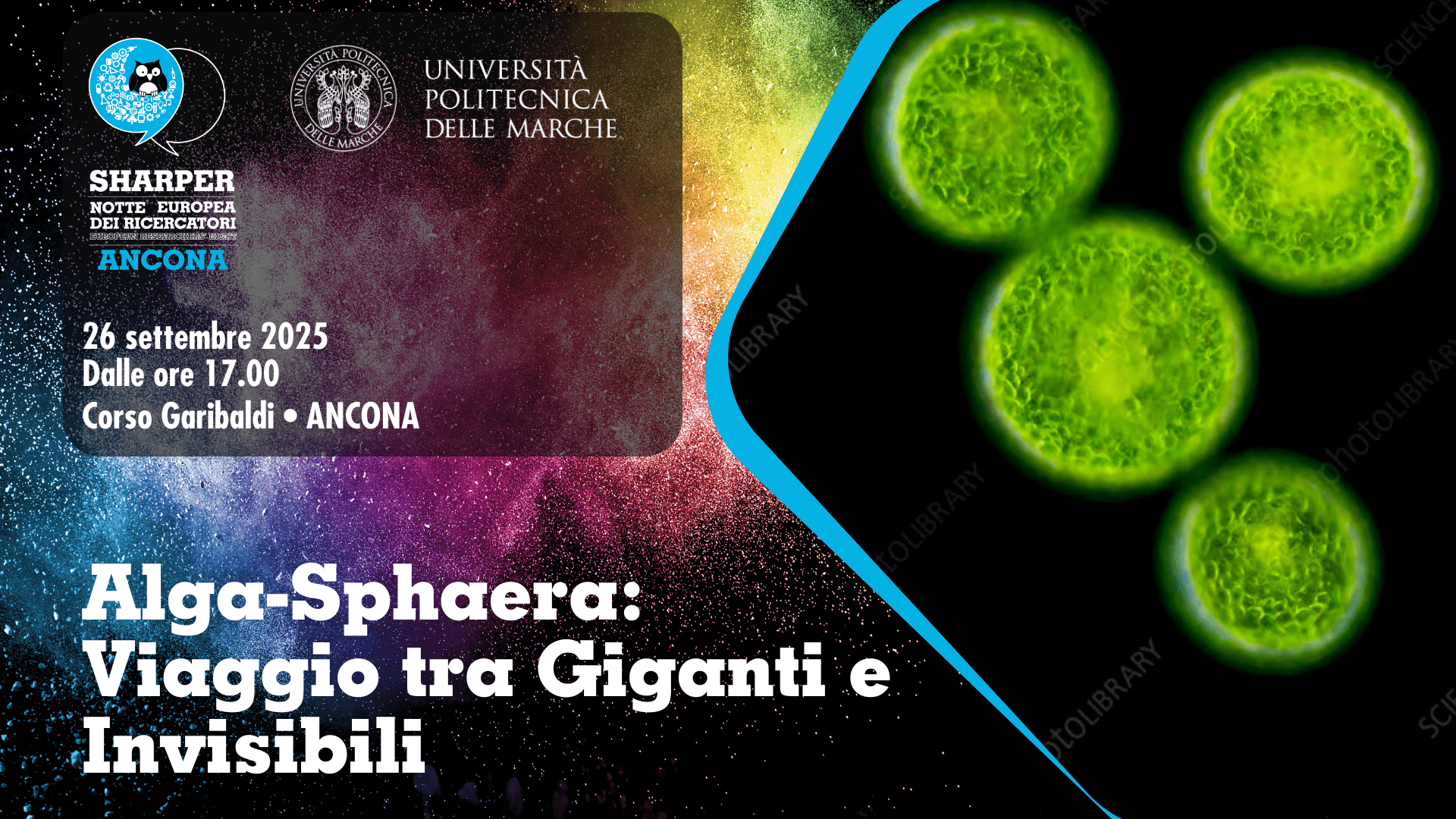 Alga-Sphaera: Viaggio tra Giganti e Invisibili
