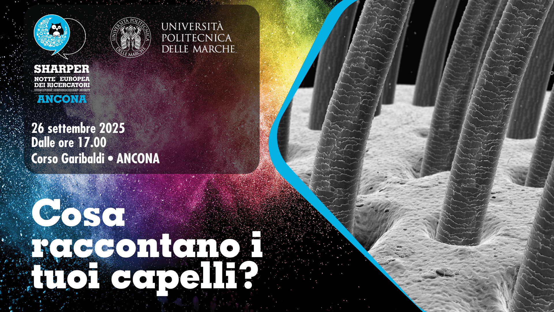 Cosa raccontano i tuoi capelli?
