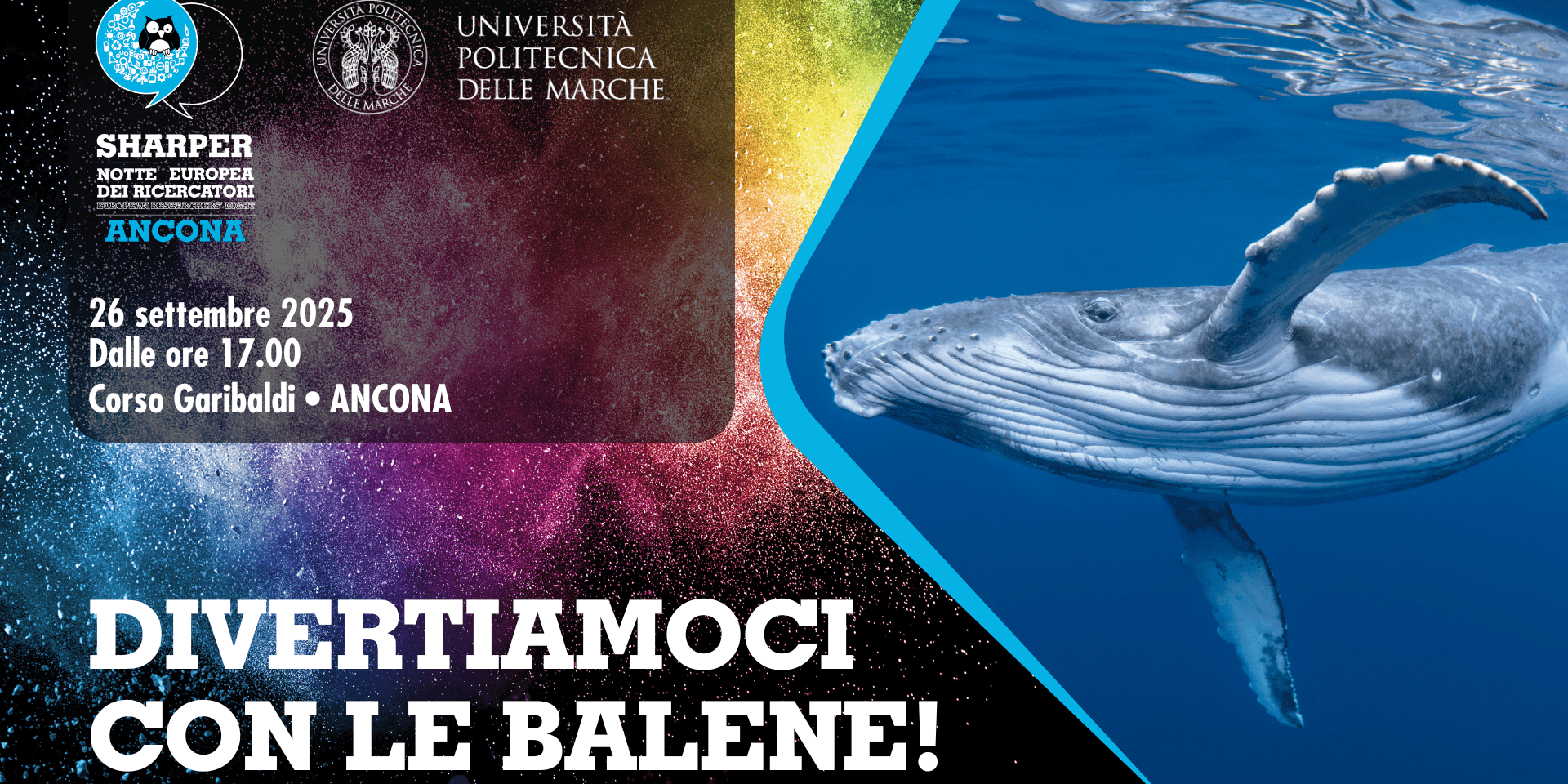 DIVERTIAMOCI CON LE BALENE!