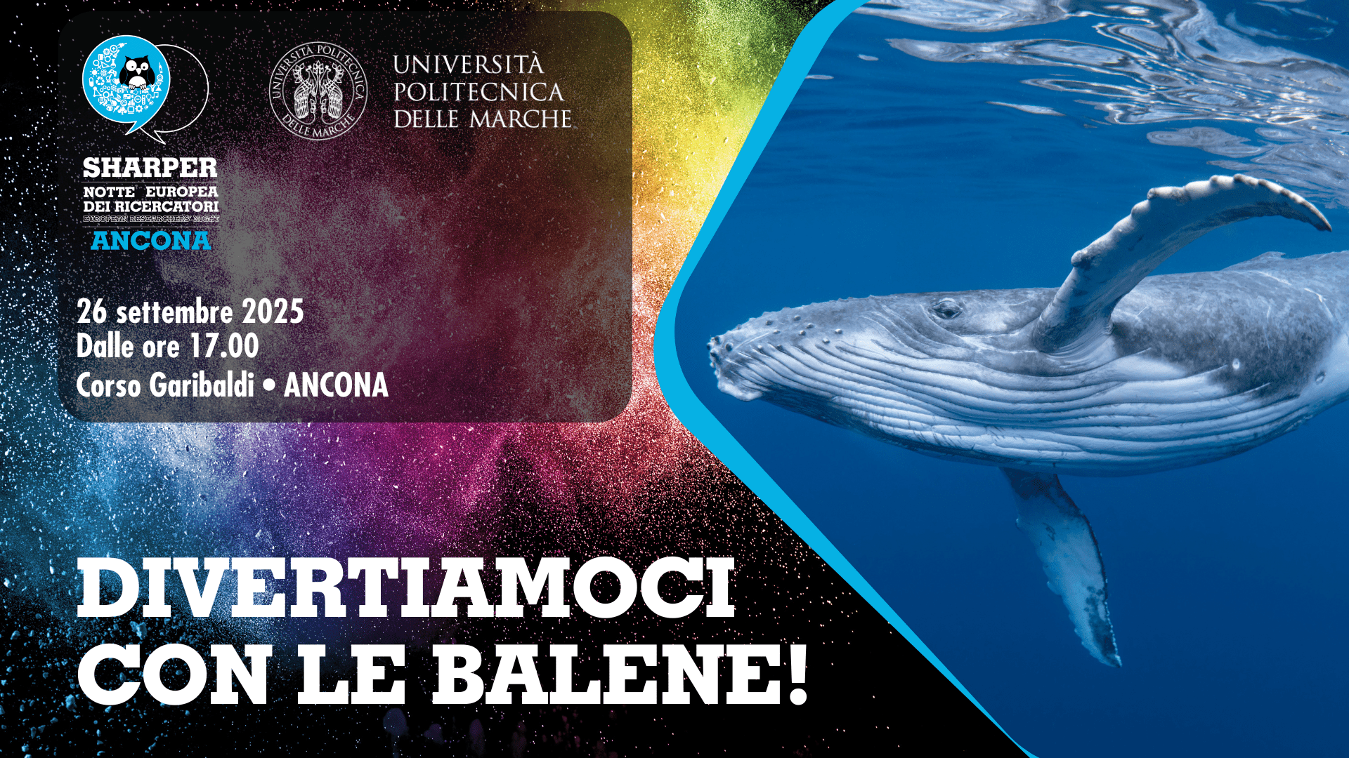 DIVERTIAMOCI CON LE BALENE!