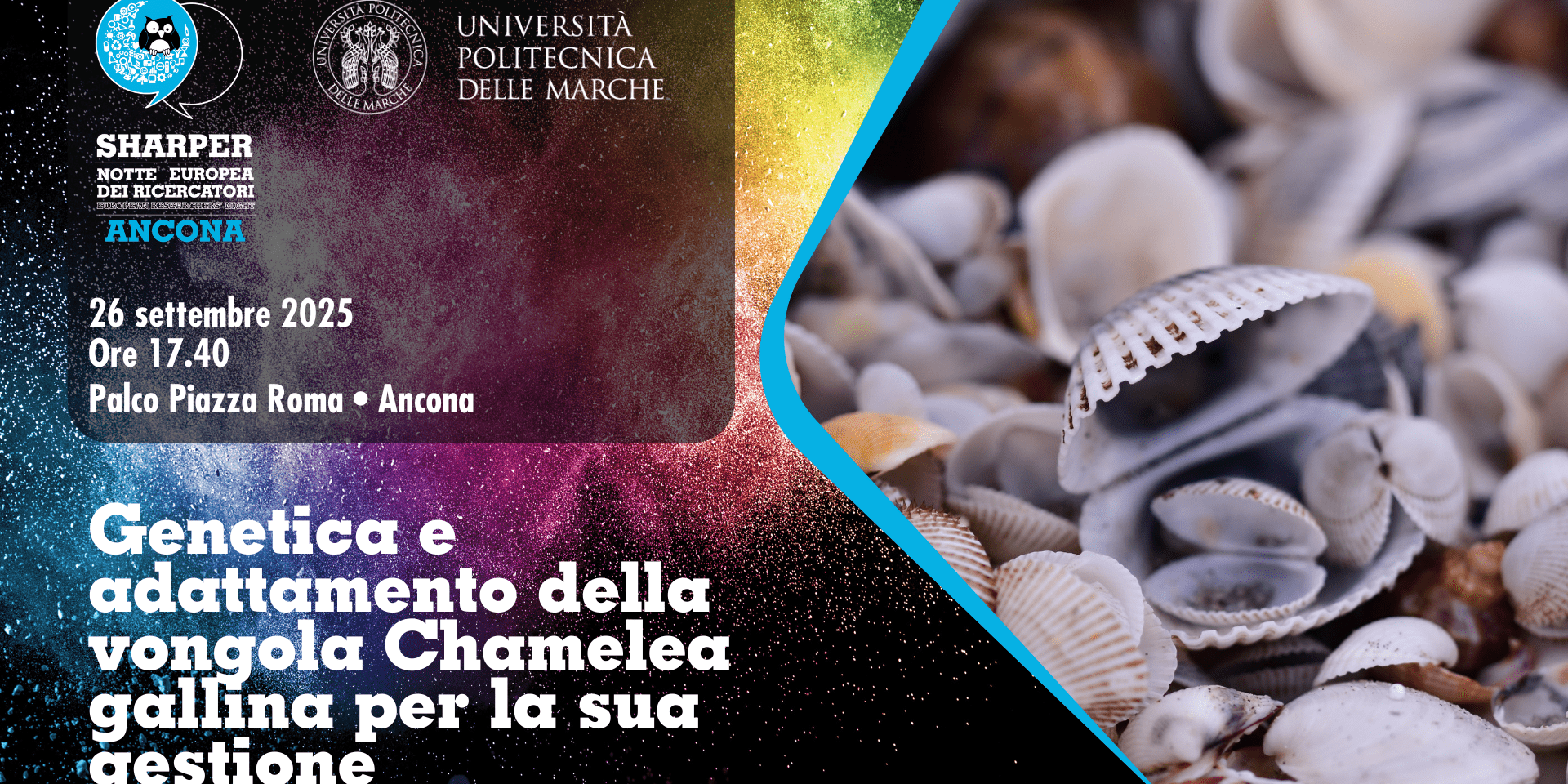 Genetica e adattamento della vongola Chamelea gallina per la sua gestione