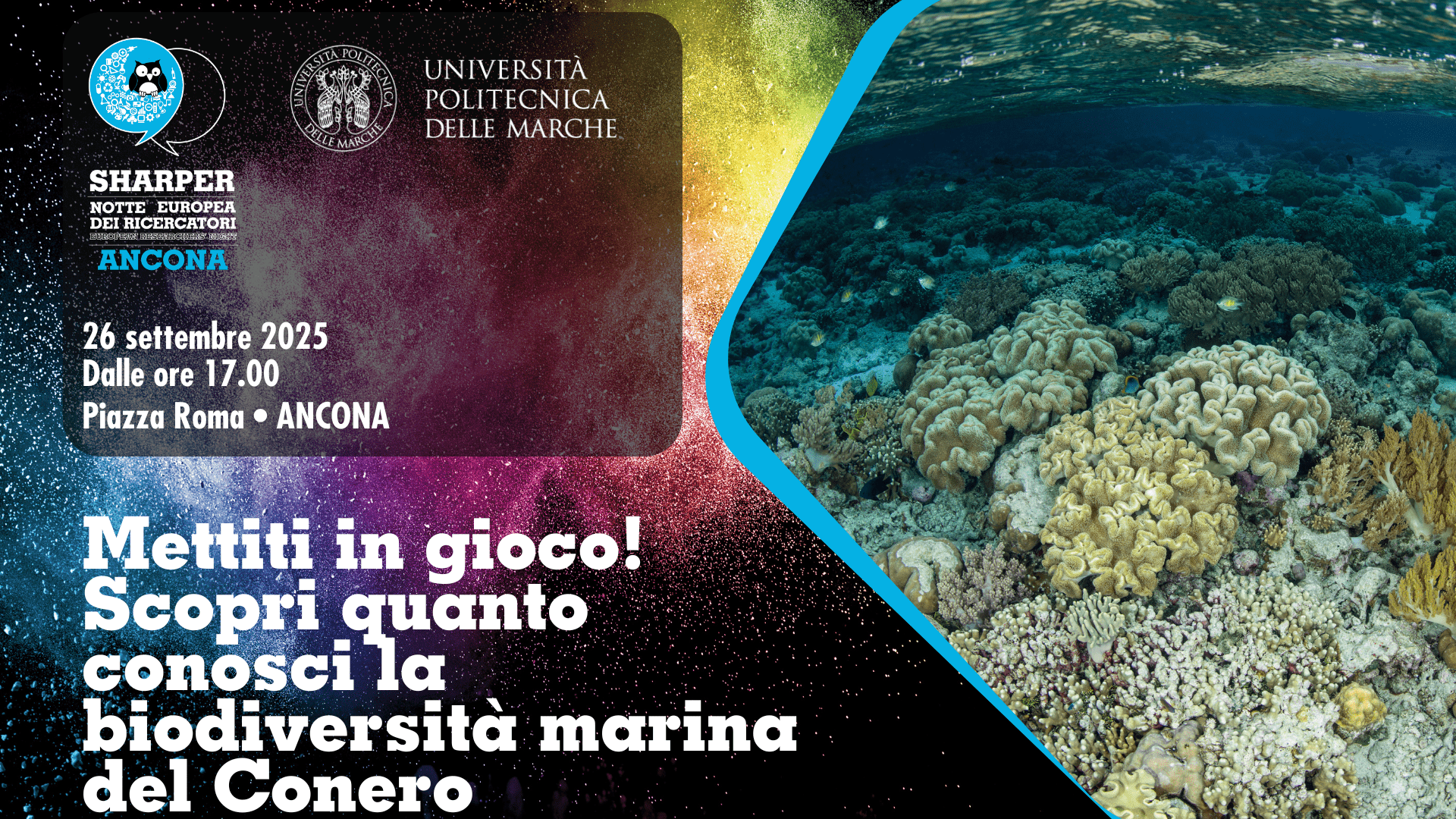 Università Politecnica delle Marche
