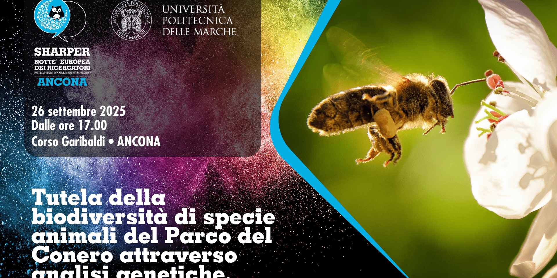 Tutela della biodiversità di specie animali del Parco del Conero attraverso analisi genetiche.