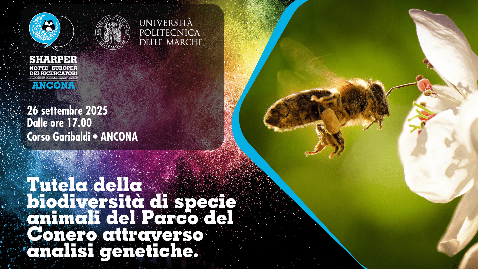 Tutela della biodiversità di specie animali del Parco del Conero attraverso analisi genetiche.