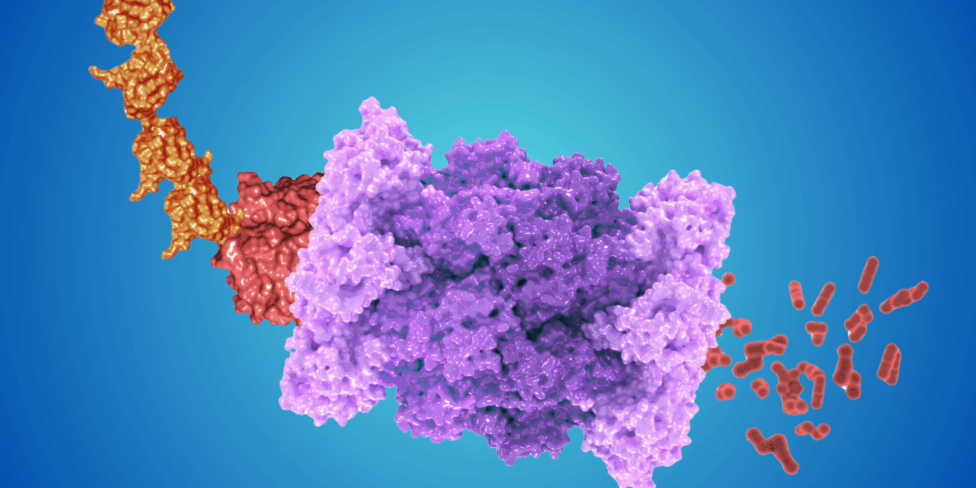 Scienza in Piazza: LESS IS MORE. DISTRUGGERE PER CURARE