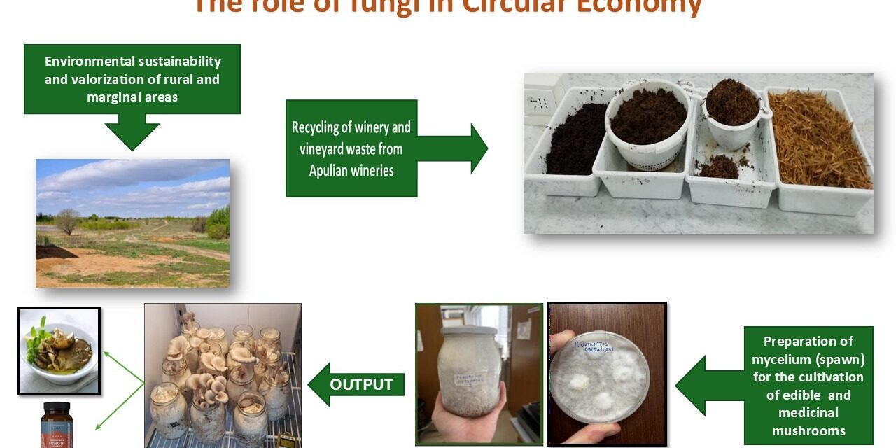 Coltivare salute e benessere