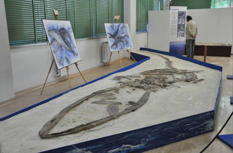 Sistema Museale di Ateneo - Università degli Studi di Bari Aldo Moro, Università degli Studi di Bari Aldo Moro