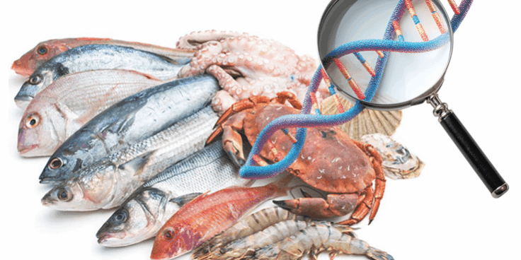 INVESTIGATE – metodologIe iNnoVative per l a gESTione InteGrATa delle filiEre alimentari