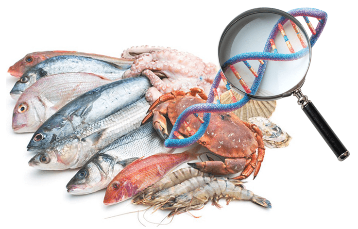 INVESTIGATE – metodologIe iNnoVative per la gESTione InteGrATa delle filiEre alimentari
