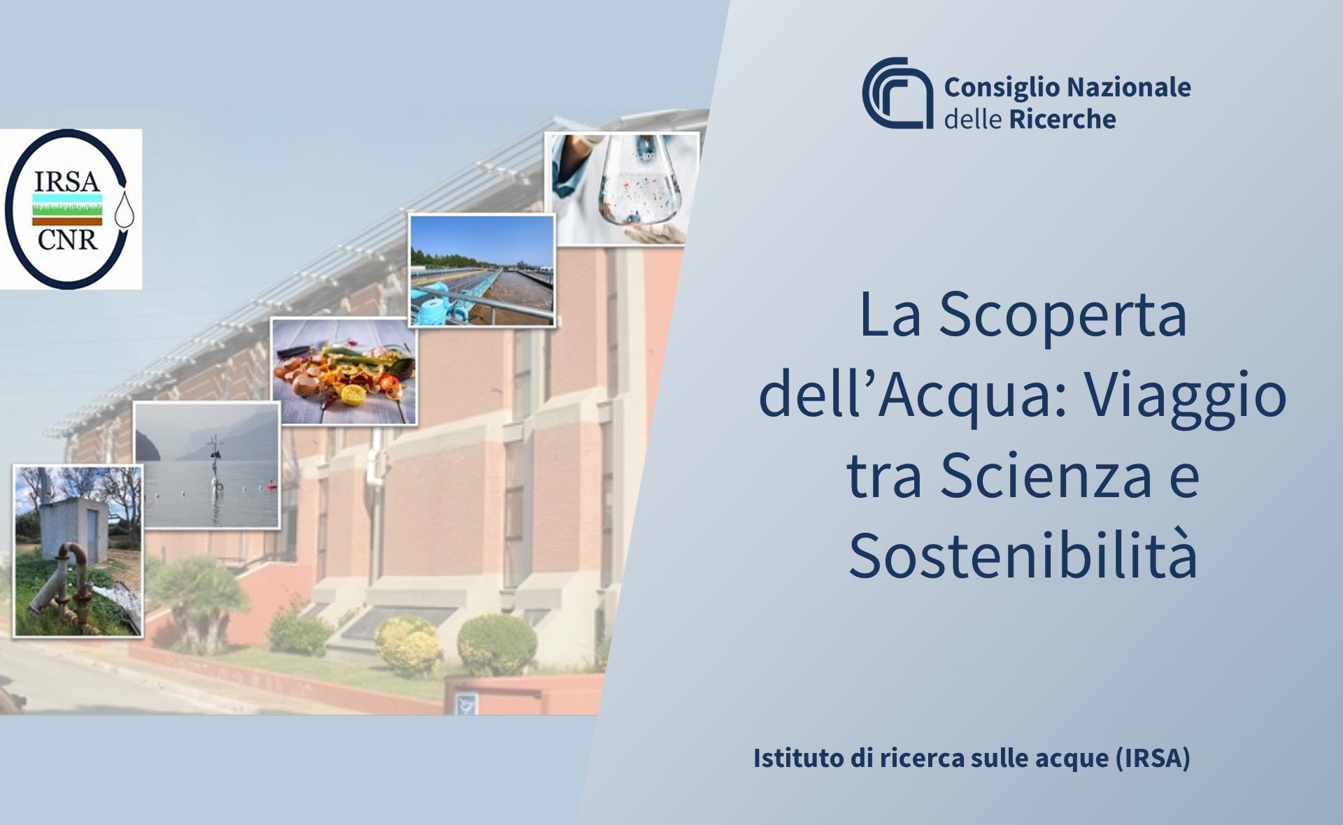 Consiglio Nazionale delle Ricerche (CNR)
