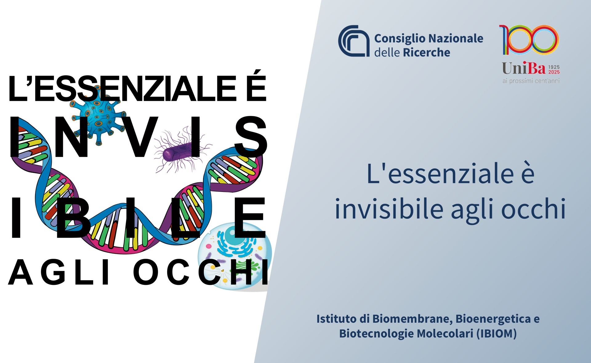 L’essenziale è invisibile agli occhi