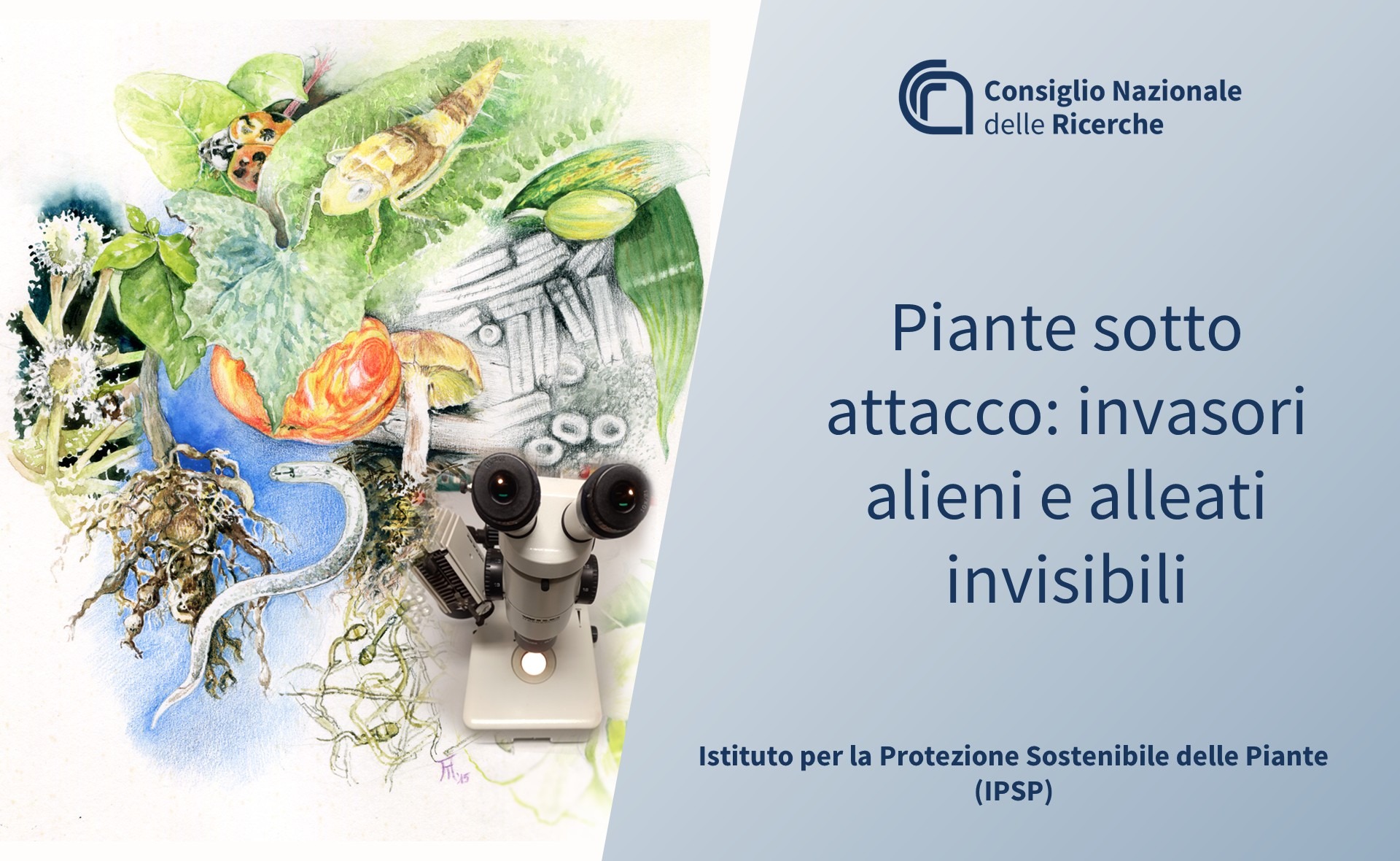 Consiglio Nazionale delle Ricerche (CNR)