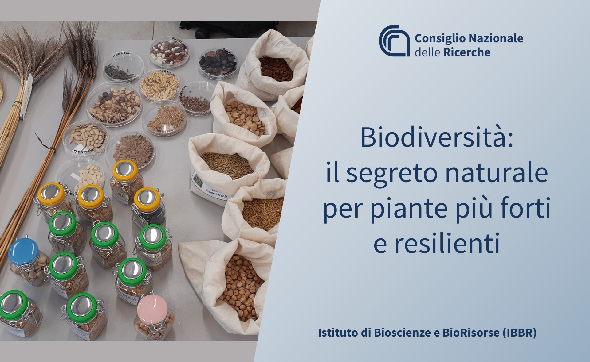 Biodiversità: il segreto naturale per piante più forti e resilienti