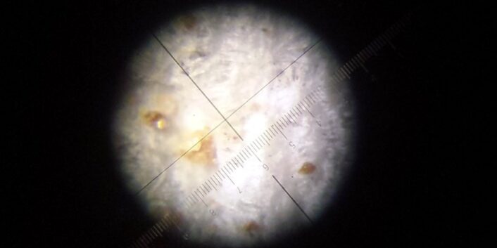 La scienza del colore Cosa si nasconde nella superficie e negli strati sub-superciali di un dipinto? Un affascinante viaggio tra pigmenti, luce e materia.