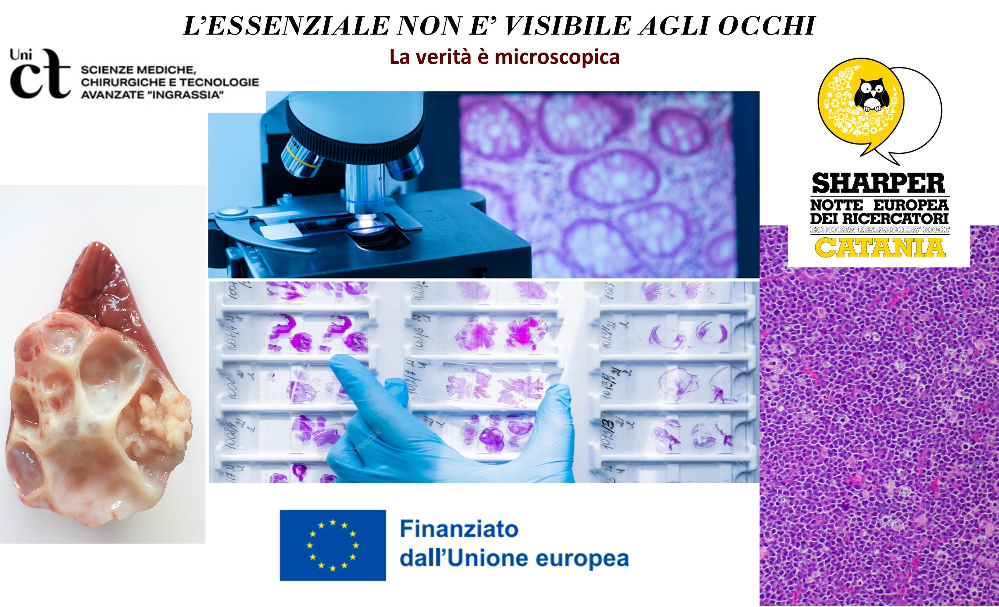 L’essenziale non è visibile agli occhi