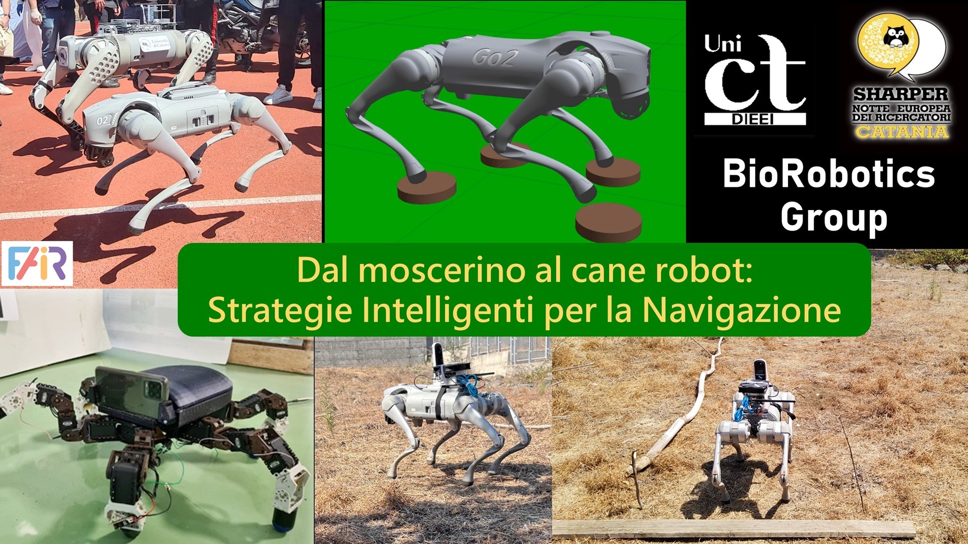 Robotica bioispirata: dal moscherino al cane robot