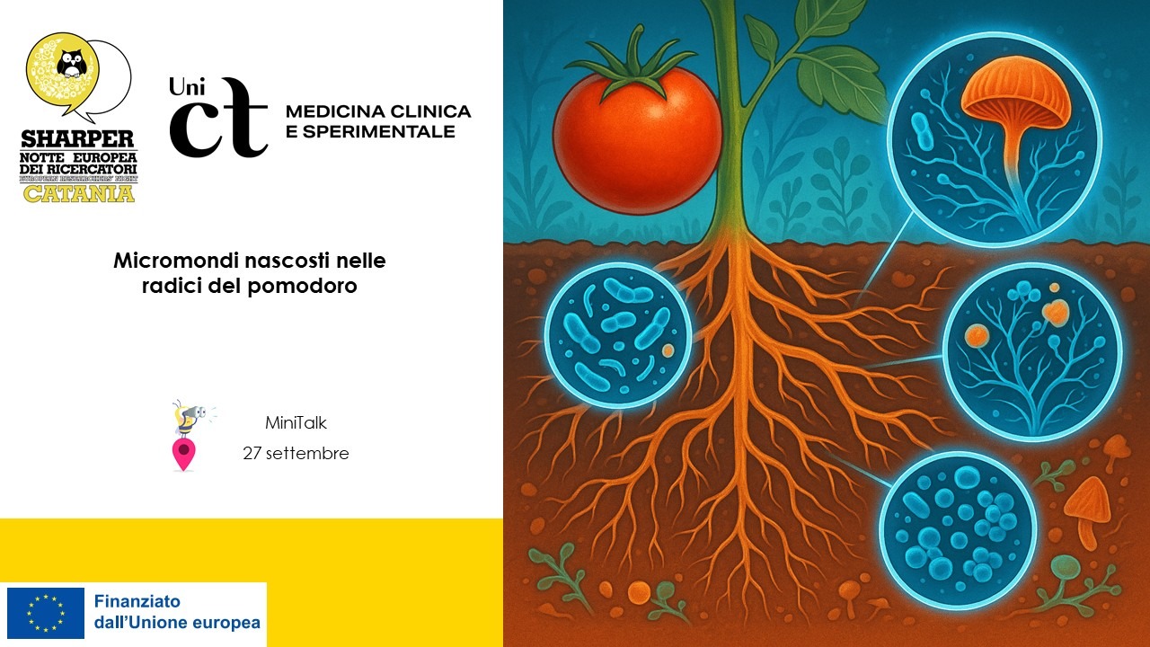 Medclin - Unict, Università di Catania