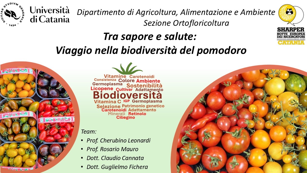 Tra Sapore e Salute: Viaggio nelle biodiversità del Pomodoro