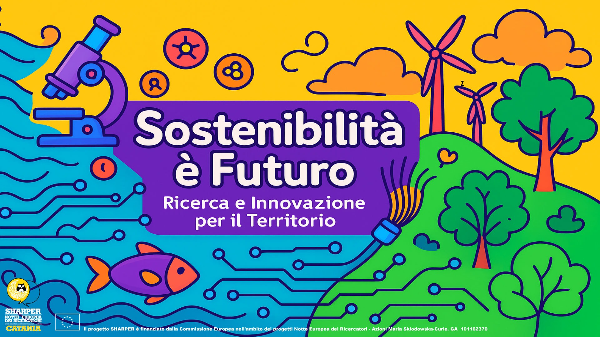 CSFNSM, Università di Catania