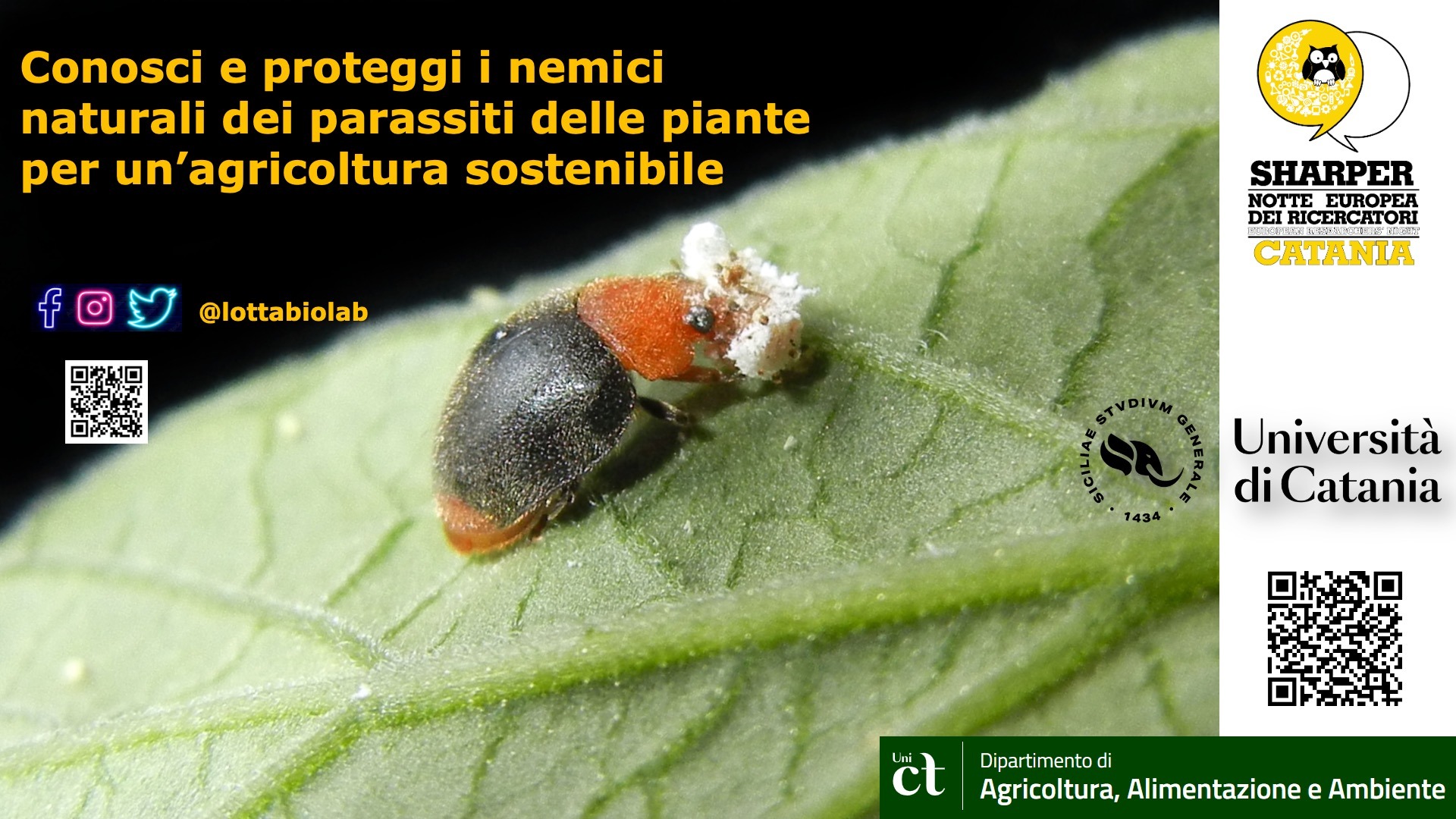 Conosci i nemici naturali dei parassiti delle piante