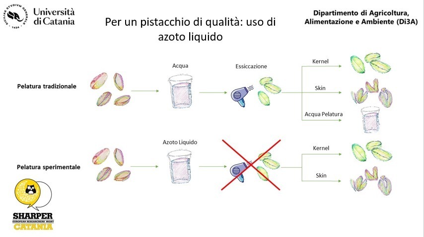 Pistacchio di qualità: uso di azoto liquido