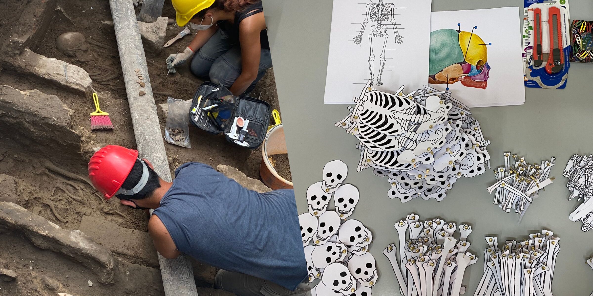 INTO THE BONES – RESTI UMANI DALLO SCAVO ARCHEOLOGICO AL LABORATORIO