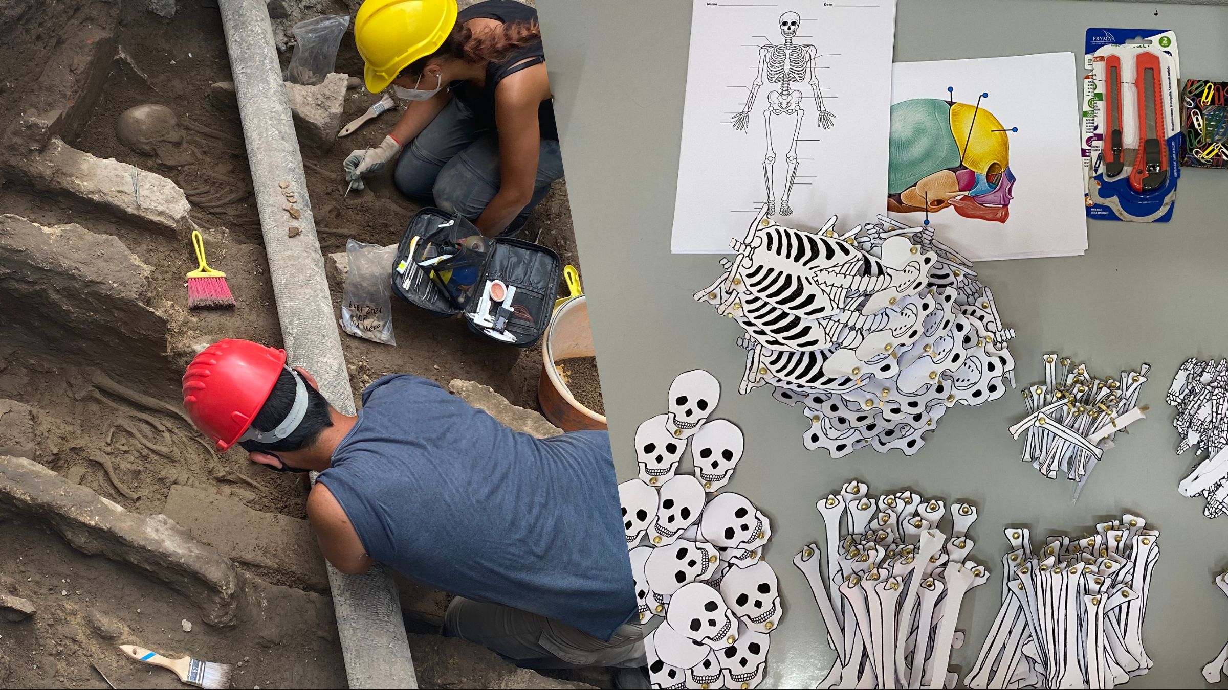 INTO THE BONES – RESTI UMANI DALLO SCAVO ARCHEOLOGICO AL LABORATORIO