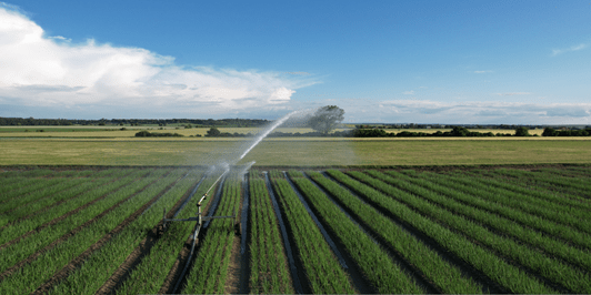 Acque pulite, scelte consapevoli: la sfida dei nitrati