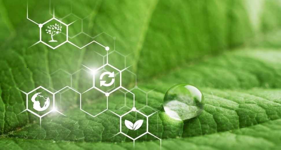 Sostanze Naturali e Idrogeno: Due Soluzioni per il Pianeta