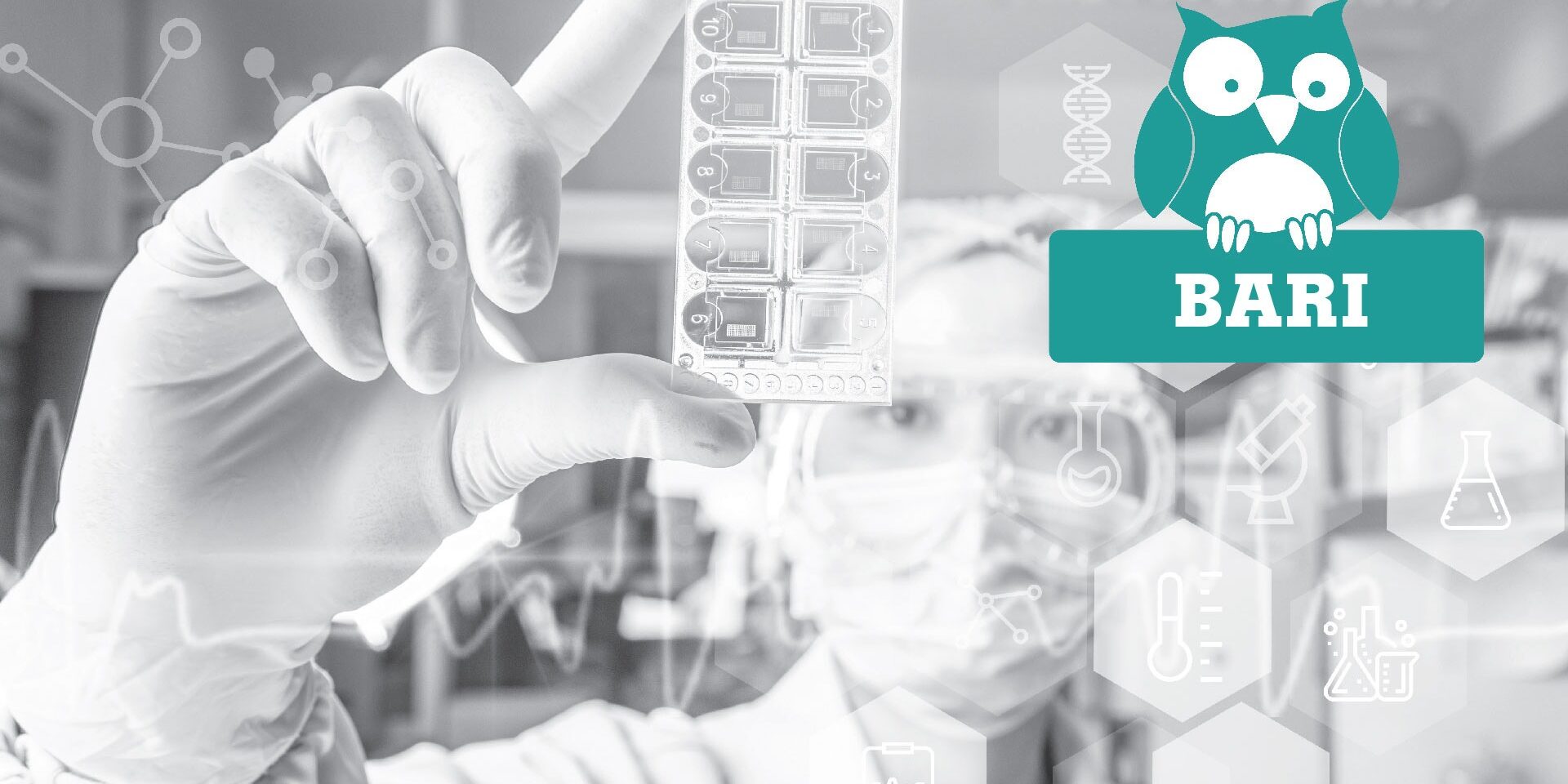 STÀMINA stories.  Storie, territori, aspirazioni. Metafore, Innovazione, Atmosfere.