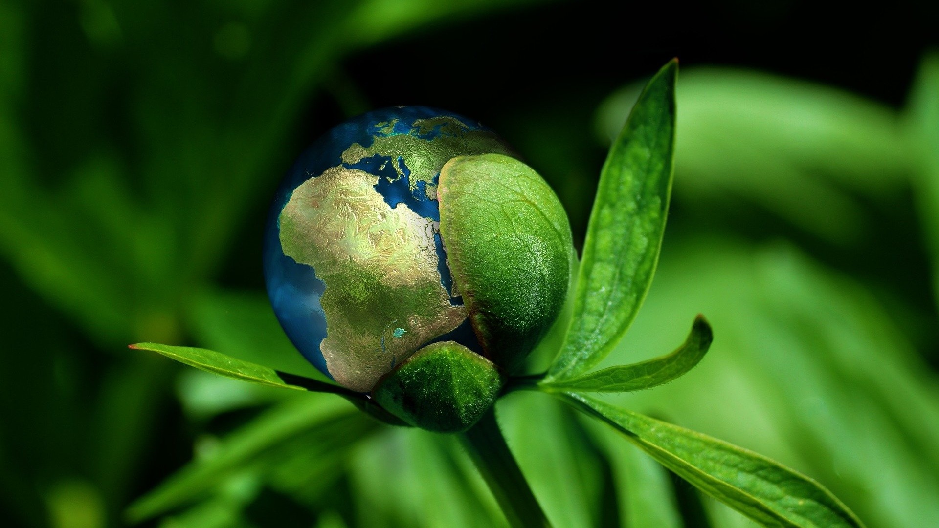 UN’ORA CON IL RICERCATORE – SOS pianeta Terra: un viaggio tra dati e ambiente