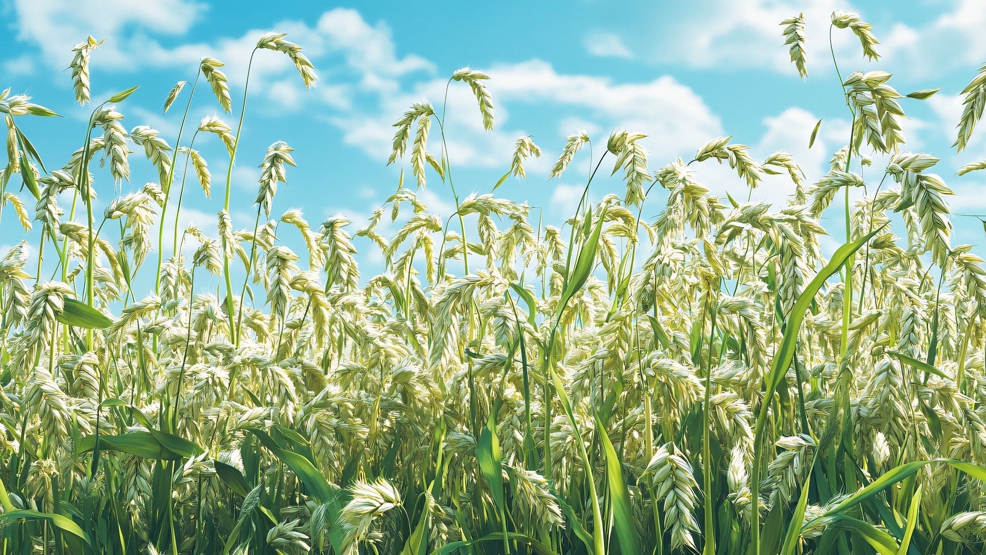UN’ORA CON IL RICERCATORE – Dal gene alla tavola