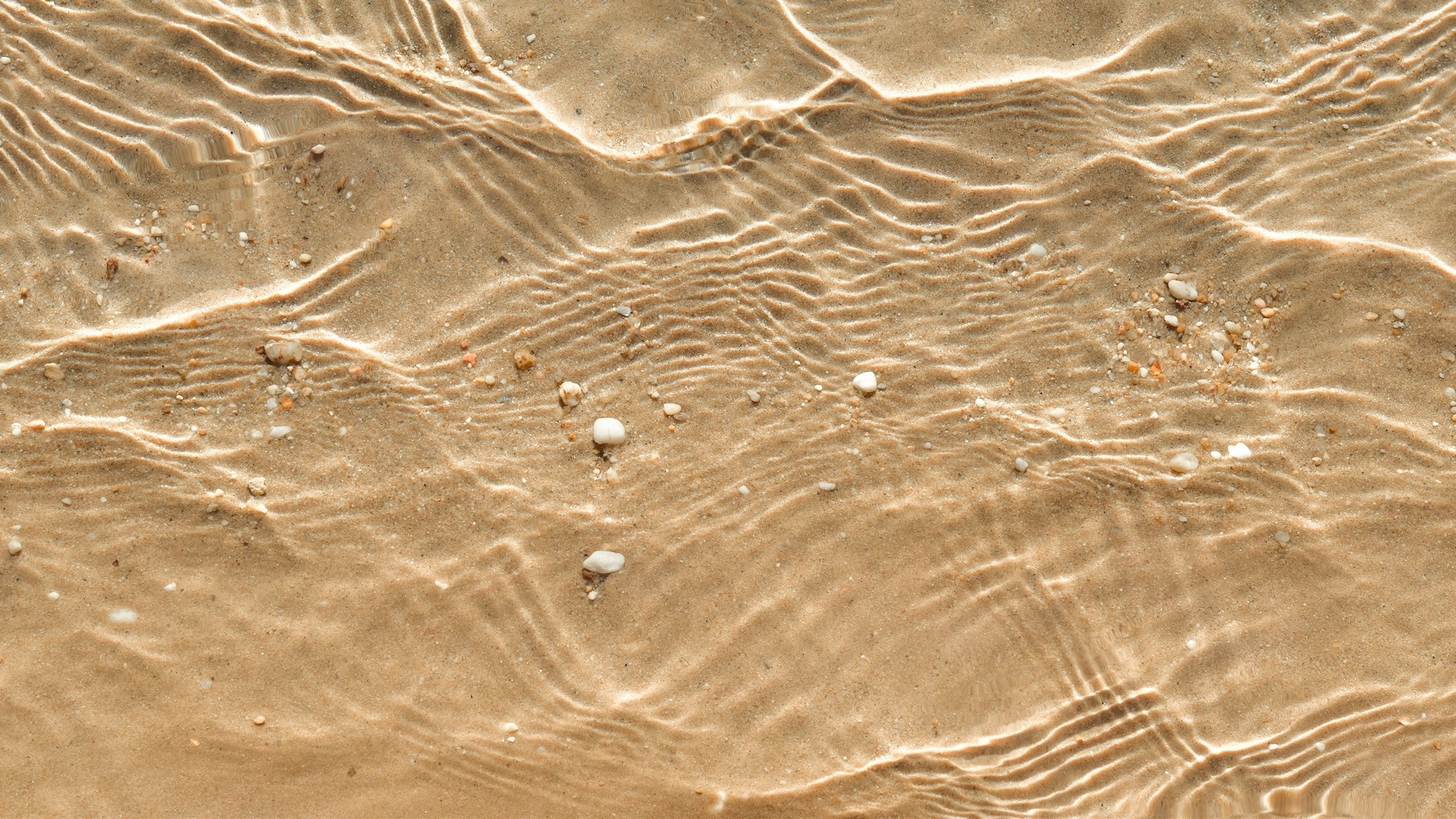 UN’ORA CON IL RICERCATORE – I sedimenti marini: un diario segreto del mare