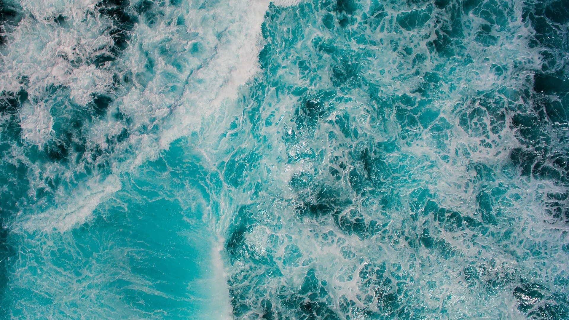 UN’ORA CON IL RICERCATORE – Un nastro trasportatore nell’oceano? Come funziona e perché è importante