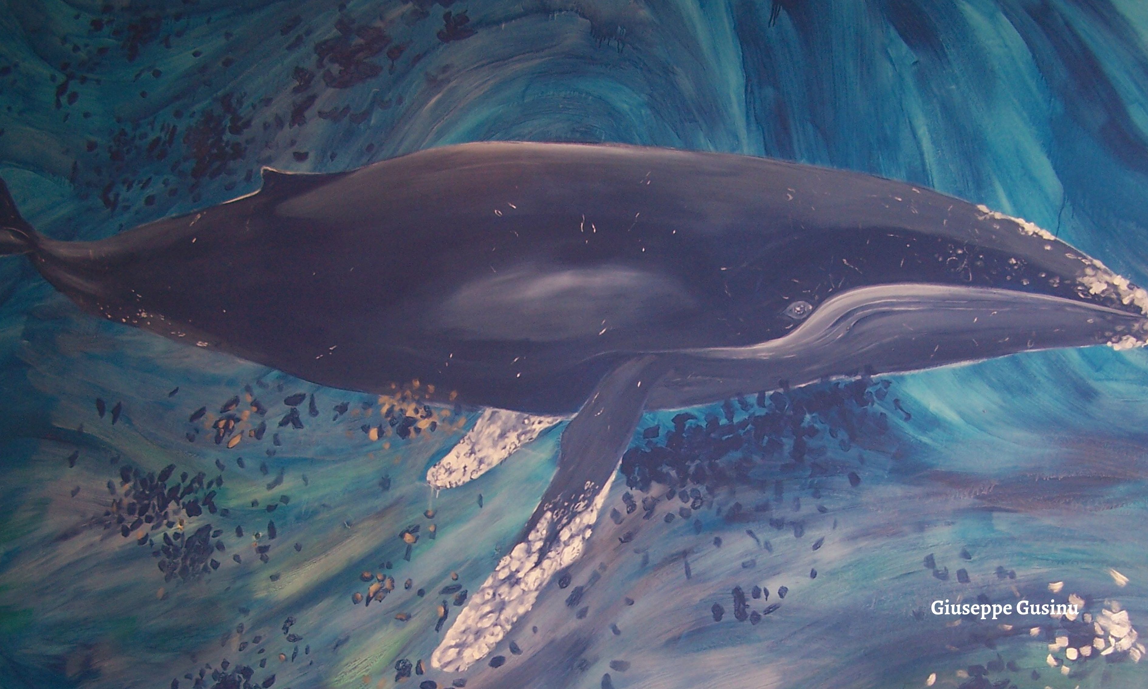 Le voci del mare