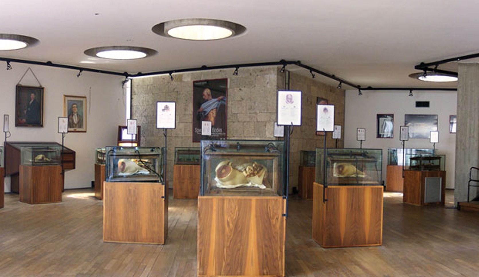 Università degli Studi di Cagliari