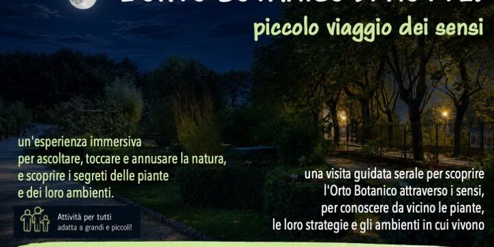 L’Orto Botanico di notte: piccolo viaggio dei sensi