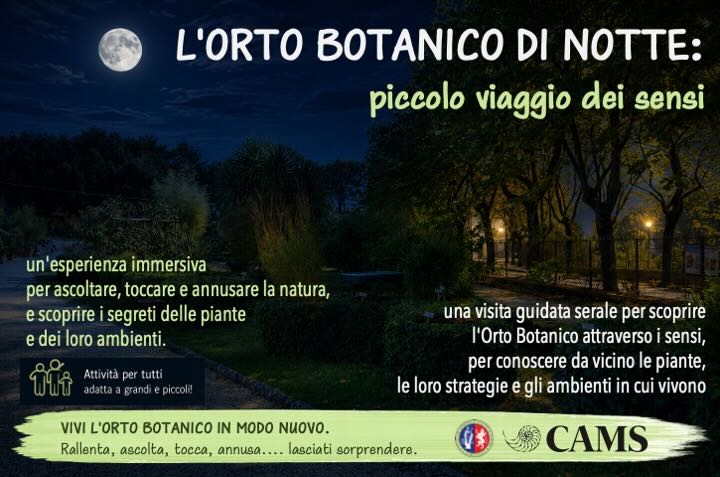 Università degli Studi di Perugia