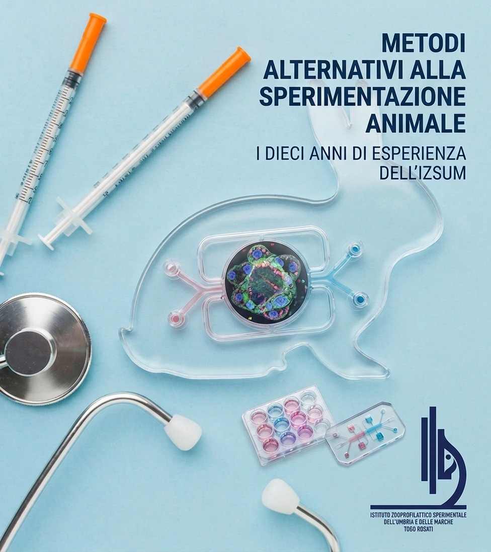 Università degli Studi di Perugia