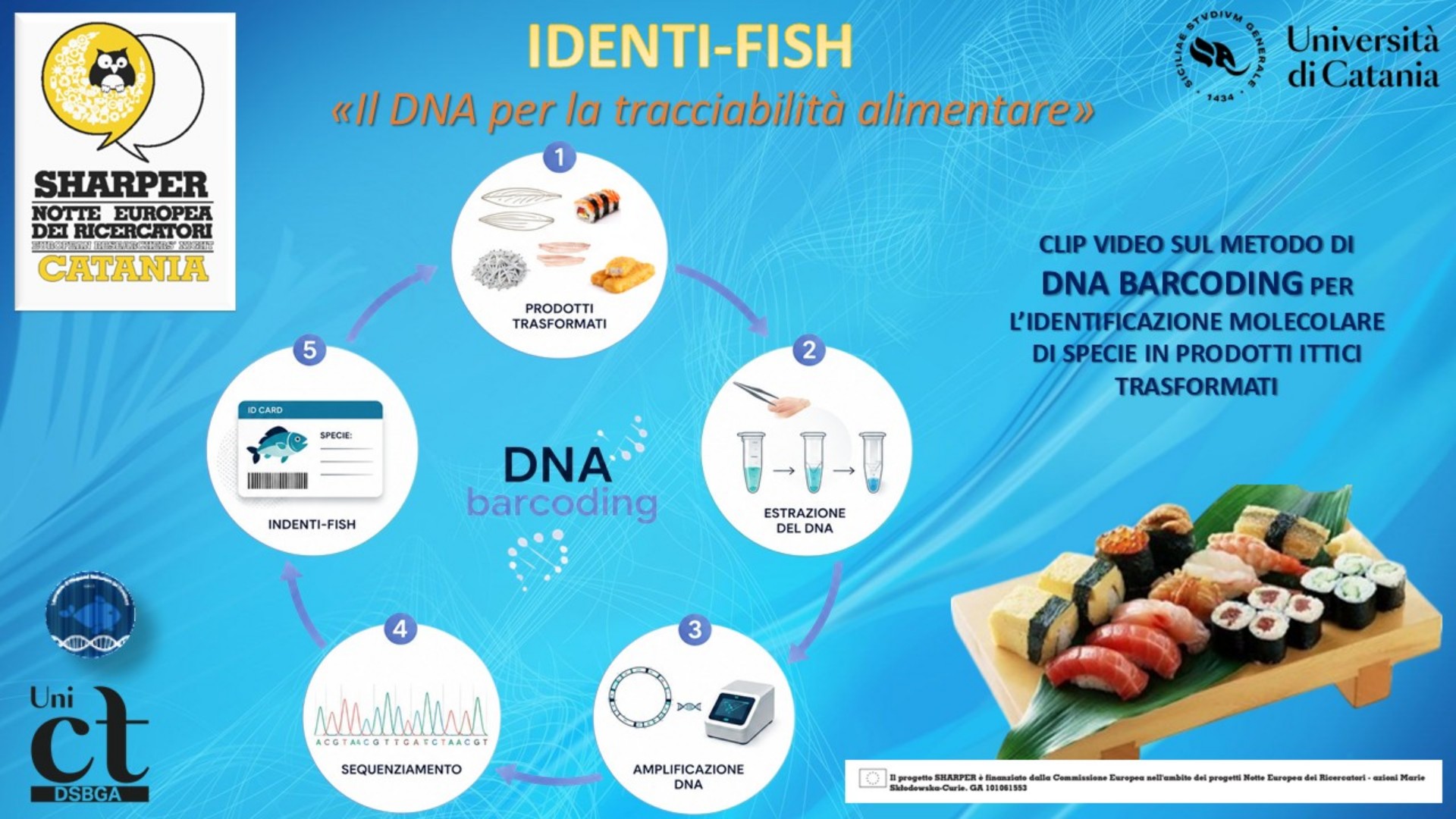 Identi-fish: il DNA per la tracciabilità alimentare