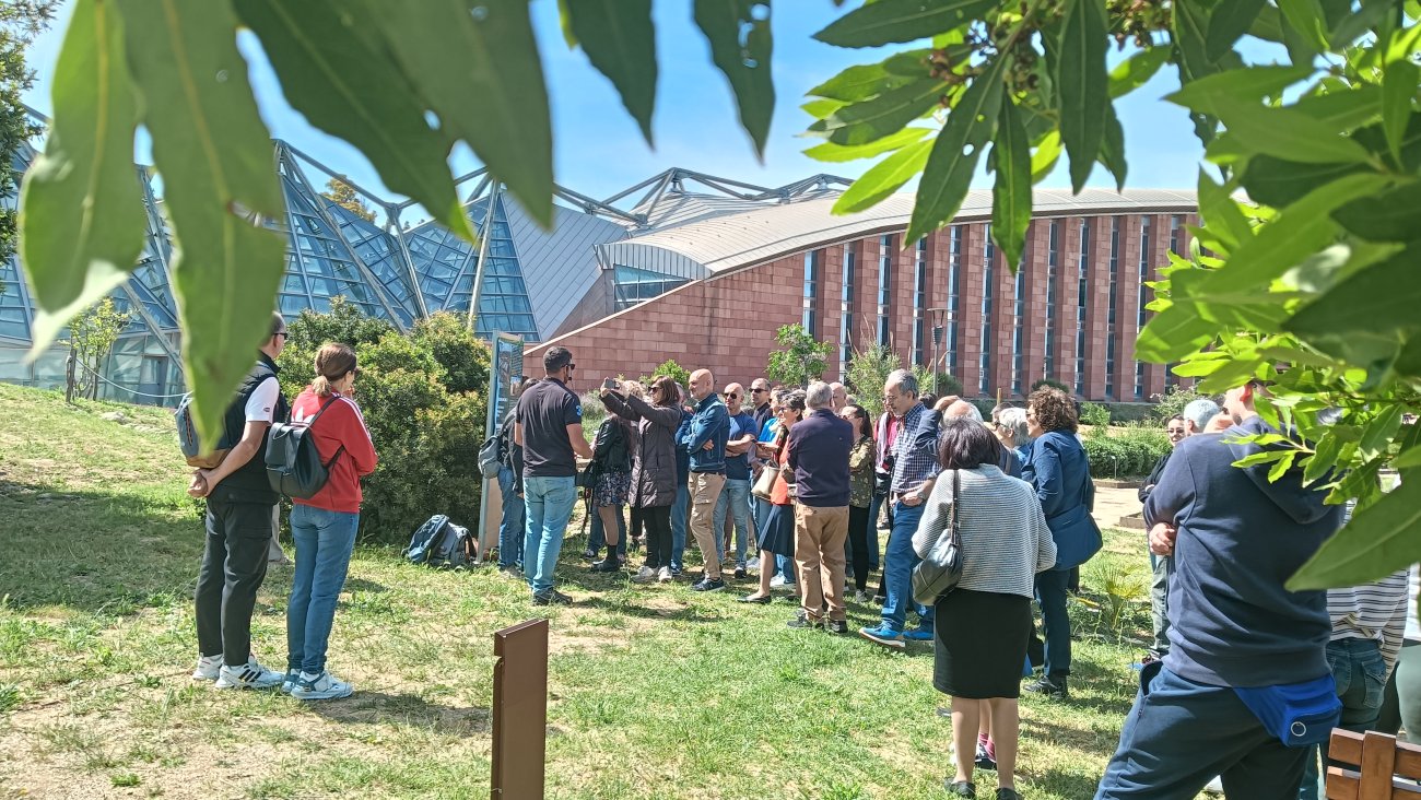 Università degli Studi di Sassari