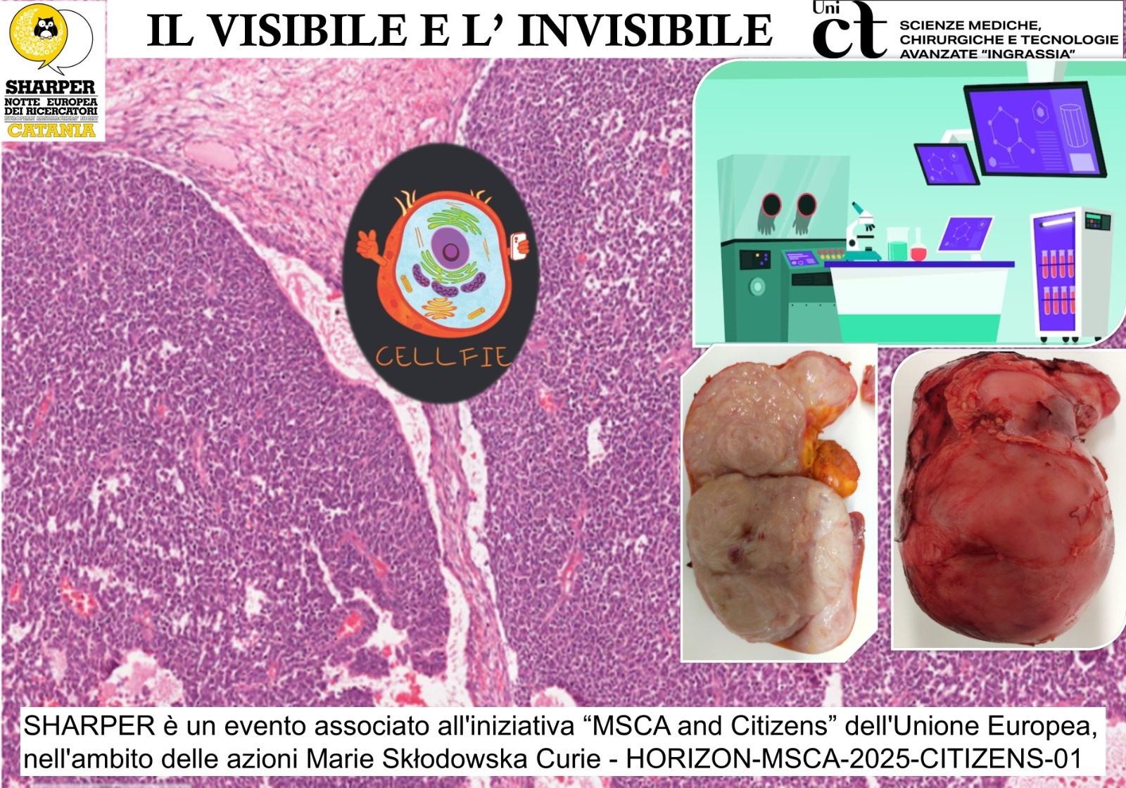 Il visibile e l’invisibile