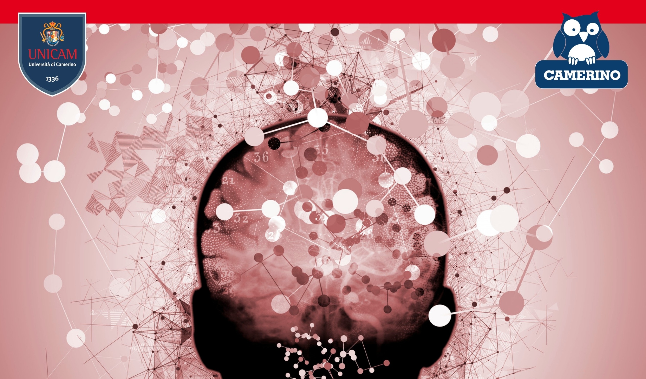 Brain, una questione di equilibrio