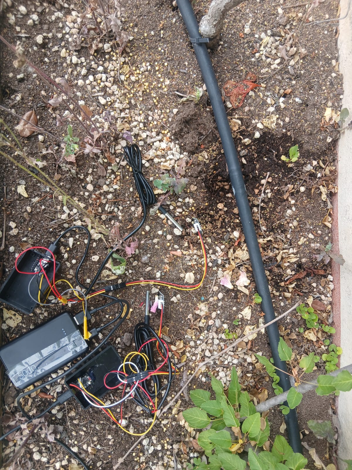 Sensor box IoT per il monitoraggio dei tetti verdi